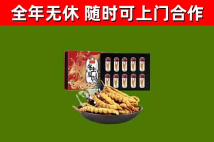 宿州回收冬虫夏草价格